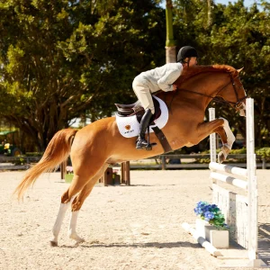 Sale Devon Tall Riding Boot Herren Reiten