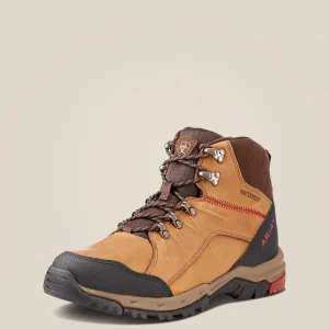 Clearance Skyline Mid Waterproof Boot Herren Wasserdichte Schuhe | Wanderschuhe